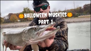 HALLOWEEN Muskies 1 of 5 [upl. by Israeli]