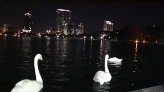 Orlando Florida Downtown Amazing Time Lapse in HD [upl. by Tutankhamen]