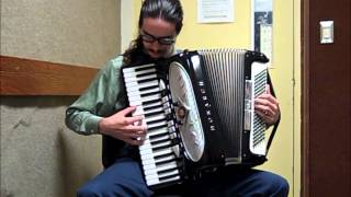 Title Theme The Legend of Zelda Ocarina of Time accordion cover [upl. by Langille]