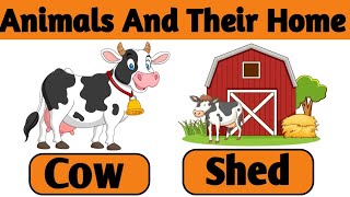 Animals And Their Homes🏡 Home Of Animals  Animal Shelter For Kids  Easy Way To Learn Animals Home [upl. by Ida]