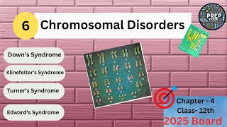 Chromosomal Disorders  Downs Syndrome Klinefelters Syndrome  Turners Syndrome  12th Biology [upl. by Asaeret]