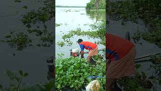 വള്ളം മുങ്ങി 8 പണികിട്ടി fishingvideokuttanadanfishing [upl. by Lapointe]