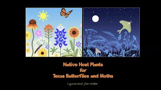 Native Host Plants for Texas Butterflies and Moths [upl. by Gomez]