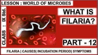 Filariasis  vector borne diseases  world of microbes for class 9 [upl. by Atikim]