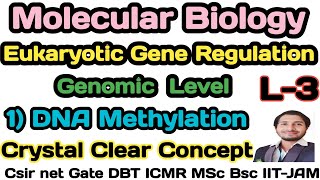 Eukaryotic Gene RegulationL3Mechanism of gene Regulation by DNA Methylation in EukaryotesCsirnet [upl. by Airetnohs]