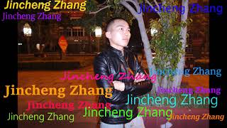 Evanescente Cofrix  Jincheng Zhang Official Music Video [upl. by Nivad]