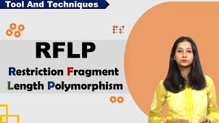 RFLP I Restriction Fragment Length Polymorphism I Tool amp Technique I [upl. by Inajar]