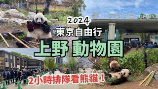 東京自由行 2024 EP14  上野動物園，2小時排隊看熊貓？好多人！園內有咩動物睇？ 長頸鹿、馬、大象、北極熊⋯  Ueno zoo  必去景點  4月日本遊Vlog [upl. by Anirbac608]