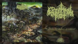 CEREBRAL ROT  Repulsive Infestation Of Cadaver From Odious Descent Into Decay LP 2019 [upl. by Rramo844]