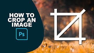 How to crop an image in Photoshop [upl. by Cykana101]