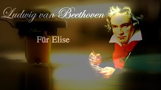 Beethoven Für Elise  Bagatelle No 25 in A Minor  2 Hours Version [upl. by Barsky271]