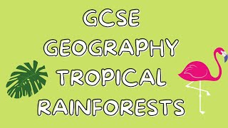 Tropical Rainforests  GCSE GEOGRAPHY [upl. by Teiluj]