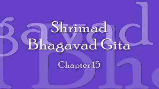 Bhagavad Gita  Chapter 15 Complete Sanskrit recitation [upl. by Yelraf]