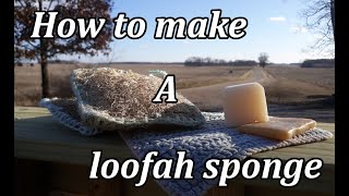 Making Melt and Pour Loofah Soap [upl. by Anoj]