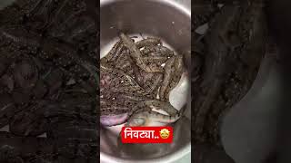 कोणाला आवडतात निवट्या🐟🐠🔥  Mud Skiper  Nivtya  shorts trending marathi viralvideo 🦐🦑 [upl. by Hyo]