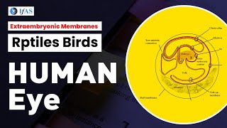 EXTRAEMBRYONIC MEMBRANES RPTILES BIRDS HUMAN ICSIR2023I GATEI [upl. by Orren]