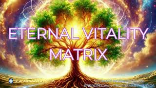 Eternal Vitality Matrix PREMIUM SUPERCHARGED ULTRA POWERFUL Energetically Programmed [upl. by Greerson]