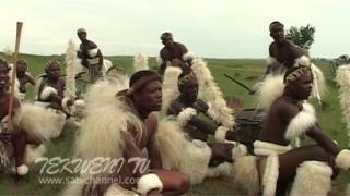 Celebrating Zulu Heritage Through Tribal Dance [upl. by Nuhs961]