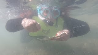 SNORKELING CAÑA GORDA GUANICA PUERTO RICO [upl. by Cruce]