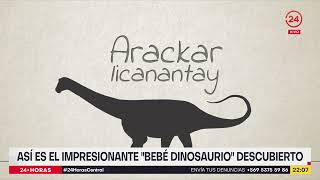 Descubren embrión de dinosaurio casi en perfecto estado [upl. by Atineb351]