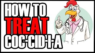 TREATING YOUR CHICKEN FLOCK FOR COCCIDIOSIS WITH CORID  Symptoms and Treatment [upl. by Adalbert]