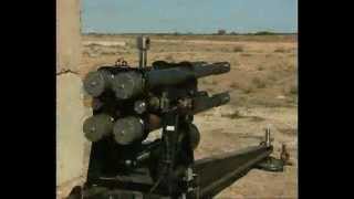 FUTURE WEAPONS  METALSTORM Autocannon  Area Denial Weapon System  ADWS [upl. by Adnuhsar848]