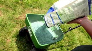 How to Overseed Your Lawn  Ace Hardware [upl. by Guthrey]