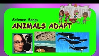 Science Song quotAnimals Adaptquot LessonJams [upl. by Mosi972]