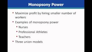 Microeconomics Wage Determination default [upl. by Pittman]