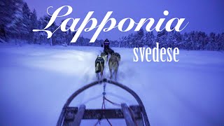 🇸🇪 LAPPONIA svedese 🇸🇪Cosa fare e vedere in 5 giorni Vlog ITA [upl. by Plafker]