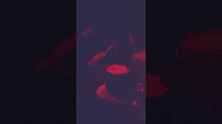 far fowls  nujabes drums shorts nujabes drummer drums groove [upl. by Elvina]