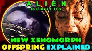 Offspring New Xenomorph Anatomy Explored  Is This How Engineers Were Formed amp More Alien Romulus [upl. by Howzell]