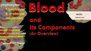 Blood and Its Components An Overview [upl. by Yebloc]