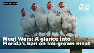 Meat Wars Looking into Floridas firstinnation ban on labgrown meat [upl. by Ettigirb]