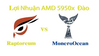 Lợi nhuận 5950X đào coin Raptoreum vs XMR MoneroOcean Pool l Khoacung Mining [upl. by Norbel]