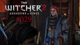 Lets Play The Witcher 2 Roche 029 Deutsch Full HD  Unterhaltung mit Detmold [upl. by Kaliope217]