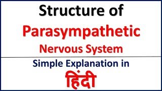 Structure of Parasympathetic Nervous System simple explanation in Hindi  Bhushan Science [upl. by Mayberry836]