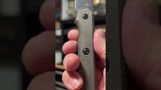 Kizer Begleiter Fixed Blade Knife Upclose and Personal [upl. by Neela60]