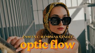 Żaneta Chełminiak  optic flow lyrics video [upl. by Yvel]