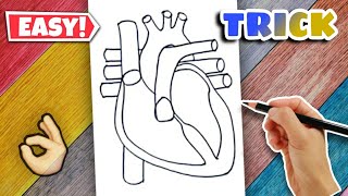 Heart Diagram  Easy Class 10 [upl. by Wachtel]