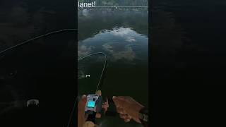 Trucha Marrón De Trofeo fishingplanet pesca videojuegos [upl. by Wyndham]