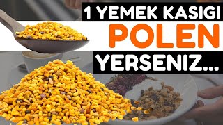 Polenin Bilmediğiniz 10 İnanılmaz Faydası  Polenin Faydaları Nelerdir  Polen Nasıl Kullanılır [upl. by Alanna]