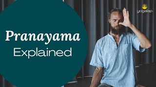 What is Pranayama  Best Pranayama Explanation with Michaël Bijker [upl. by Solly59]