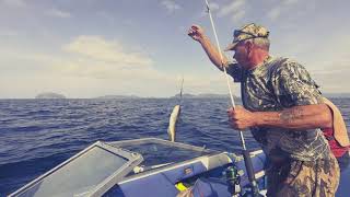 Cod Fishing Bay of Islands [upl. by Light932]