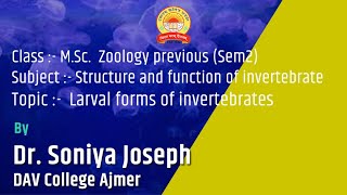 Larval forms of invertebrates  Structure and function of invertebrates Hindi [upl. by Klina764]