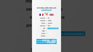 Le vocabulaire anglais des animaux 🇬🇧 [upl. by Aicylla760]