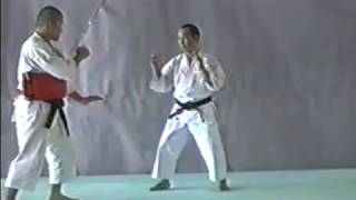 Shorinji Kempo Waza  GYAKU TEN SHIN GERI [upl. by Bella468]