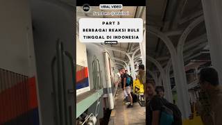 Reaksi Bule Tinggal Di Indonesia Pohon Besar Bikin Kesurupan⁉️ reaksibule shorts viralvideo [upl. by Lais245]