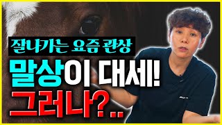 잘나가는 요즘관상 사업가 관상은 말상이 대세 그러나 문제가 있다 [upl. by Ytoc]