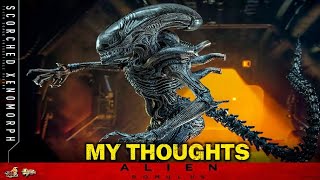 HOT TOYS ALIEN ROMULUS SCORCHED XENOMORPH MY THOUGHTS [upl. by Xavler]